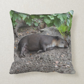 Almofada tapir que dorme na areia