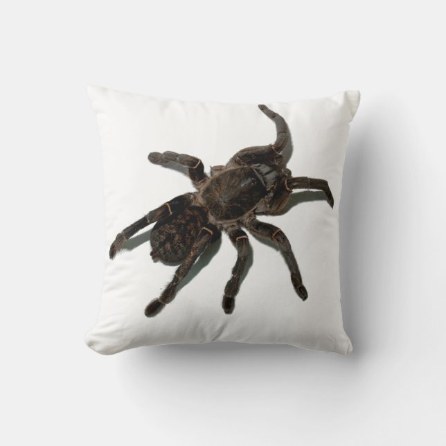 Almofada Tarantula (Frente)
