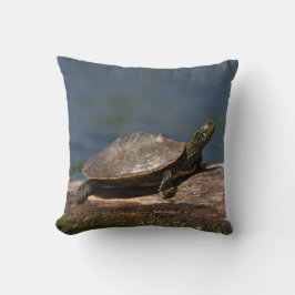 Almofada Tartaruga pintada em um tronco