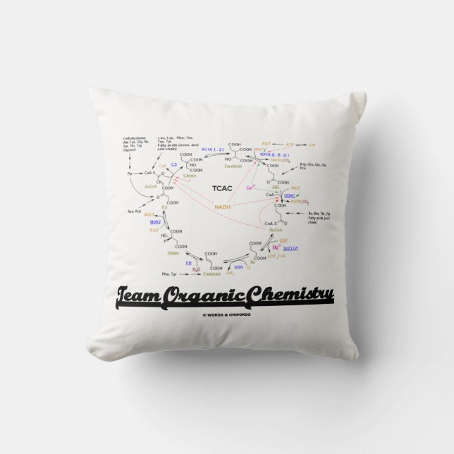 Almofada Team Organic Chemistry Krebs Cycle TCAC (Frente)