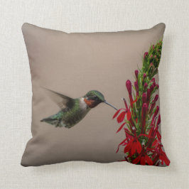 ALMOFADA TEMPO DO PETISCO