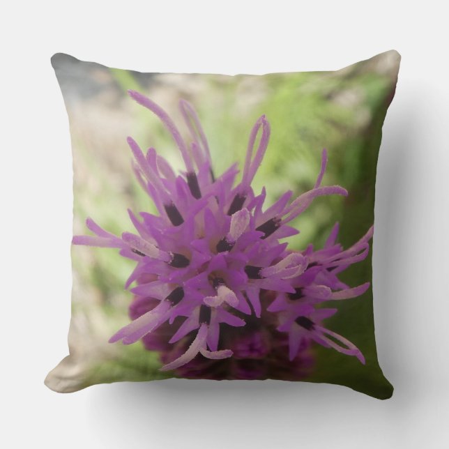 Almofada Tendência de bela flor Liatris (Frente)