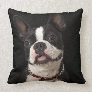 Almofada Terrier de sorriso de Boston com colar