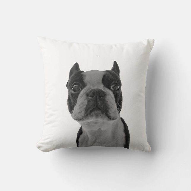 Almofada terrior de Boston do travesseiro (Frente)