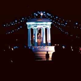 Almofada The Wonder of Christmas Pillow