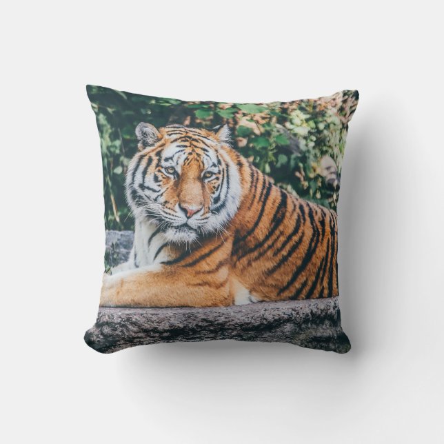Almofada Tigre (Frente)