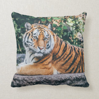 Almofada Tigre