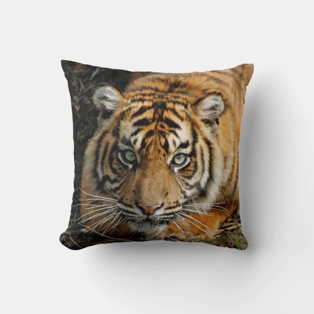 Almofada Tigre 037 (Frente)