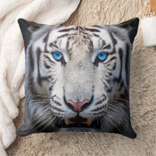 Almofada Tigre Branco com Olhos Azuis