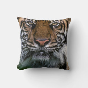 Almofada Tigre Cabeça e Face