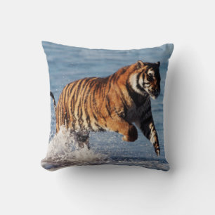 Almofada Tigre-de-bengala (Panthera Tigris)
