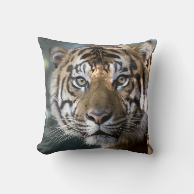Almofada Tigre-de-sumatra-macho (Panthera tigris sumatrae) (Frente)