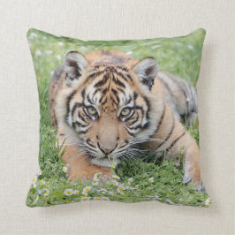 Almofada Tigre fotográfico, animais 0287.