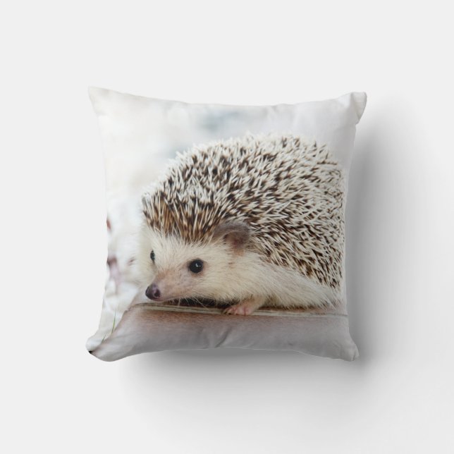 Almofada Tiny Hedgehog (Frente)