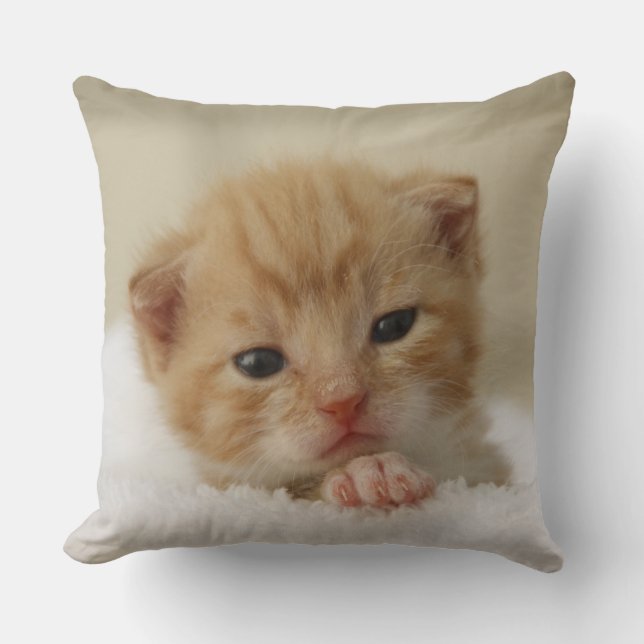 Almofada Tiny Orange Kitten (Frente)