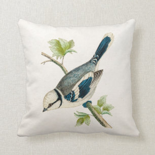 Almofada Tiragem azul dos pássaros das aves canoras do