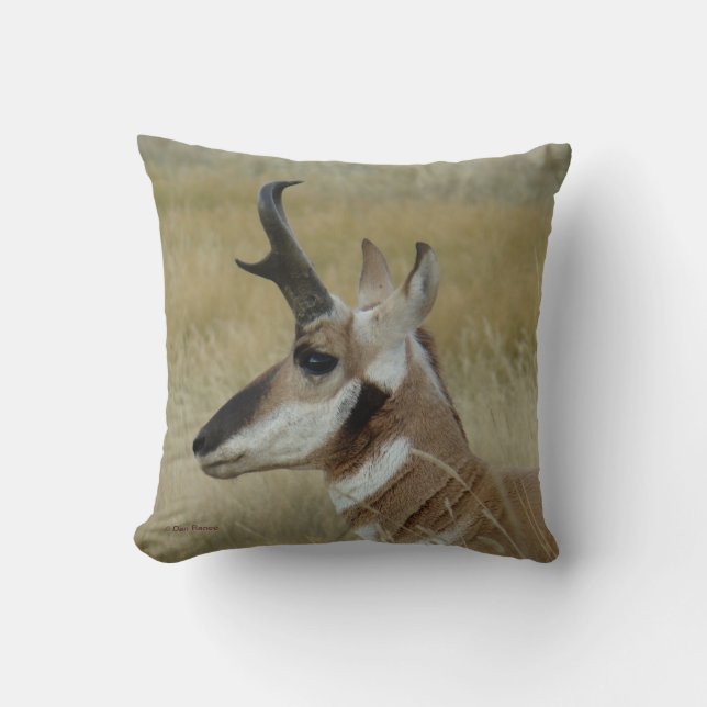 Almofada Tiro de Perfil da Cabeça de Antílope A4 Pronghorn (Frente)