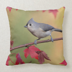 Almofada Titmice adornados