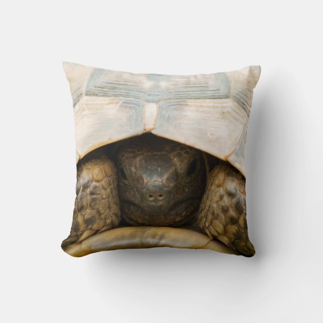 Almofada Tortoise (Frente)