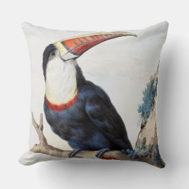 Almofada Toucan (1748) de Aert Schouman