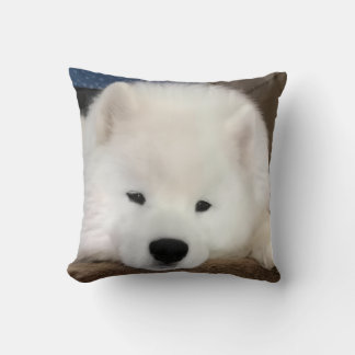 Almofada Travesseira decorativa 16 x 16" Samoyed Sonolento
