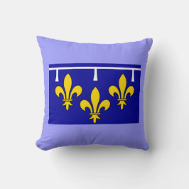 Almofada Travesseira Decorativa Bandeira de Orleans França