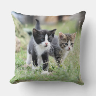 Almofada Travesseira Decorativa com Gatinhos Fofos na Natur