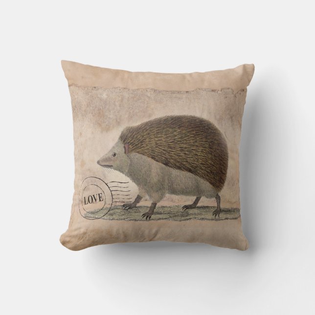 Almofada Travesseiro 20x20 do ouriço (Frente)