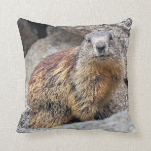 Almofada Travesseiro alpino da marmota
