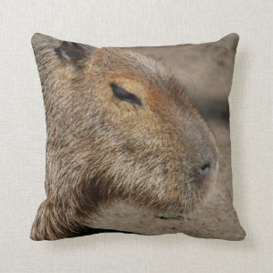 Almofada Travesseiro australiano do Capybara