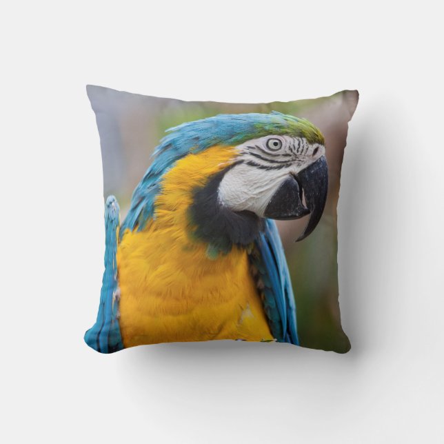 Almofada Travesseiro azul e amarelo do Macaw (Frente)