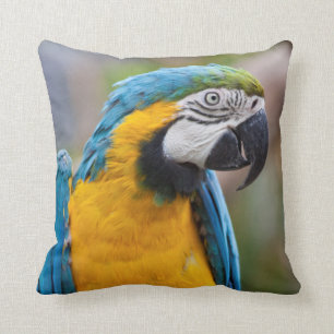 Almofada Travesseiro azul e amarelo do Macaw