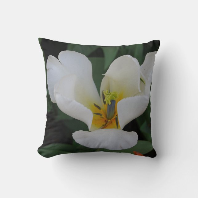 Almofada travesseiro branco brilhante (Frente)