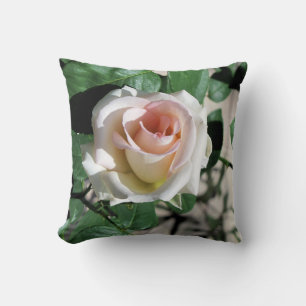 Almofada Travesseiro branco rosa cor-de-rosa, 16" x 16"