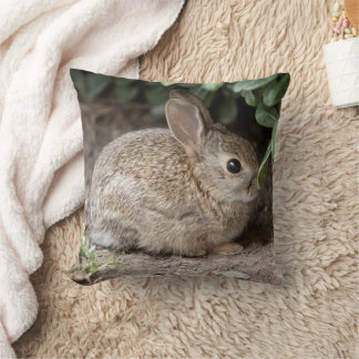 Almofada Travesseiro Bunny Quadrado