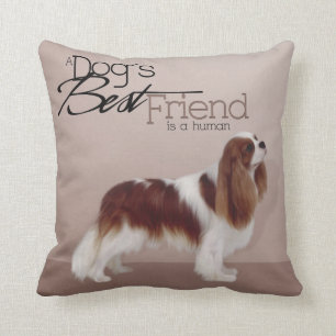 Almofada Travesseiro Cavalier King Charles Spaniel