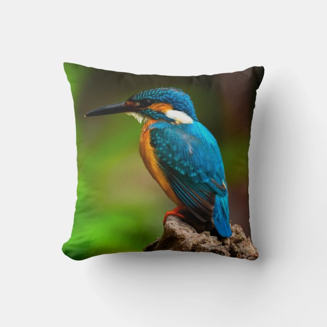 Almofada Travesseiro da natureza das aves de Kingfisher (Frente)
