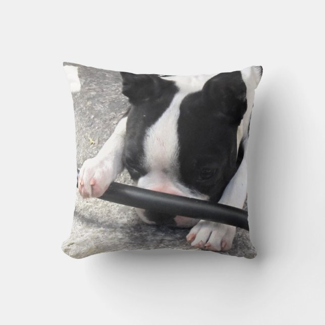 Almofada Travesseiro de Boston Terrier (Frente)