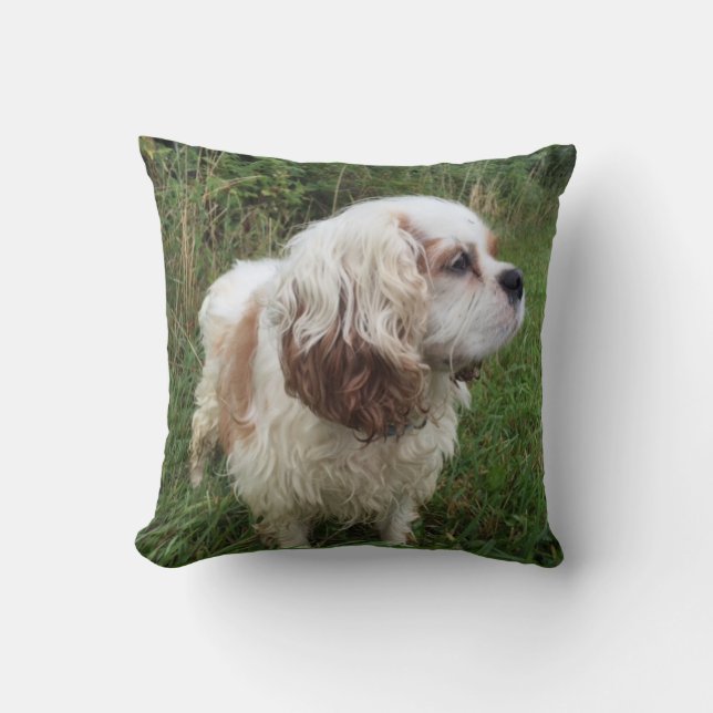 Almofada Travesseiro de Branson (Frente)