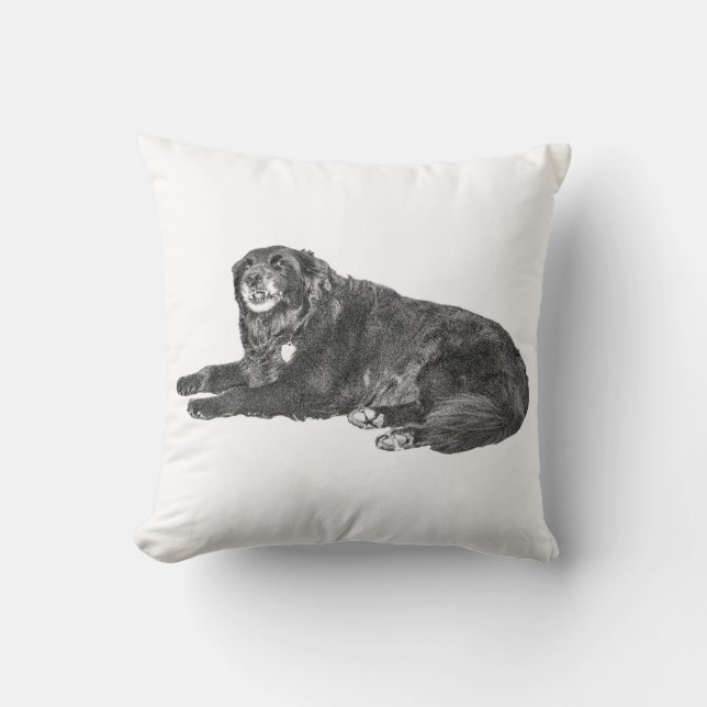 Almofada Travesseiro de Cachorro Negro Cozy para Declive da (Frente)