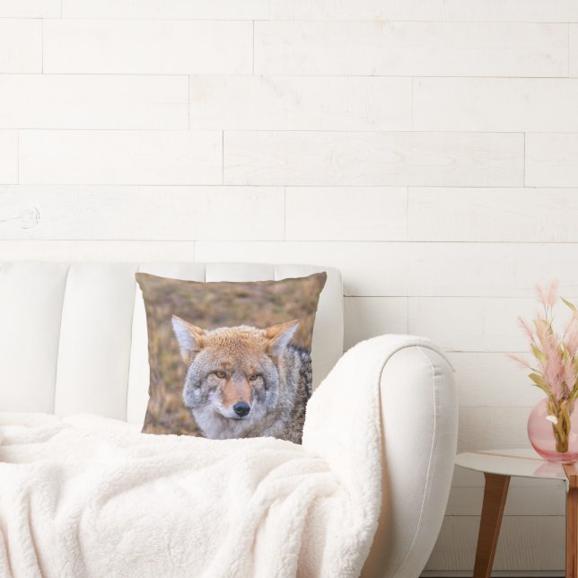 Almofada Travesseiro de Cachorro Selvagem de Coyote (Sofá)