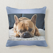 Travesseiro de Cushion de Bulldog Francês Azul