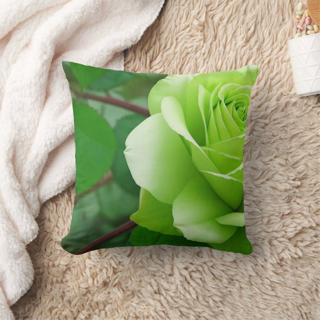 Almofada Travesseiro de Decoração de Casa Aconchegante com  (Cobertor)