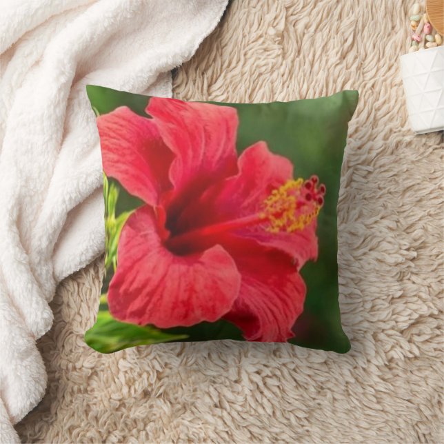 Almofada Travesseiro de Decoração de Casa Aconchegante com  (Cobertor)