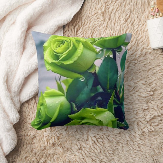 Almofada Travesseiro de Decoração de Casa Aconchegante com  (Cobertor)