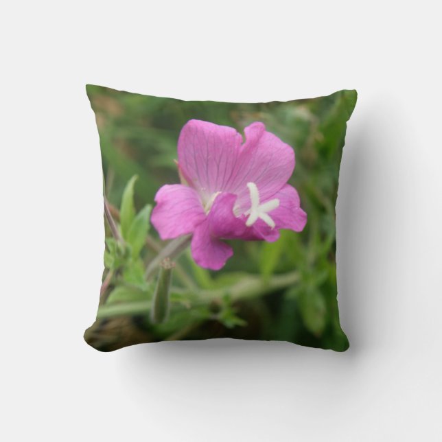 Almofada Travesseiro de flor selvagem de Red Campion (Frente)