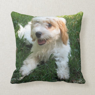 Almofada Travesseiro de Fotografias Cavachon Personalizado,