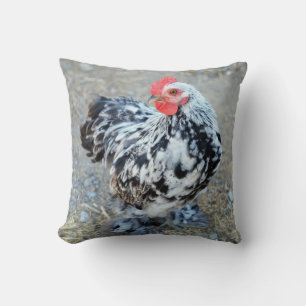 Almofada Travesseiro de frango Bantam Cochin, Cute Mottled