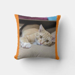 Almofada "Travesseiro de Gato de Cor Laranja Cozy - Charme 