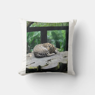 Almofada Travesseiro de Gato Grande Dormindo